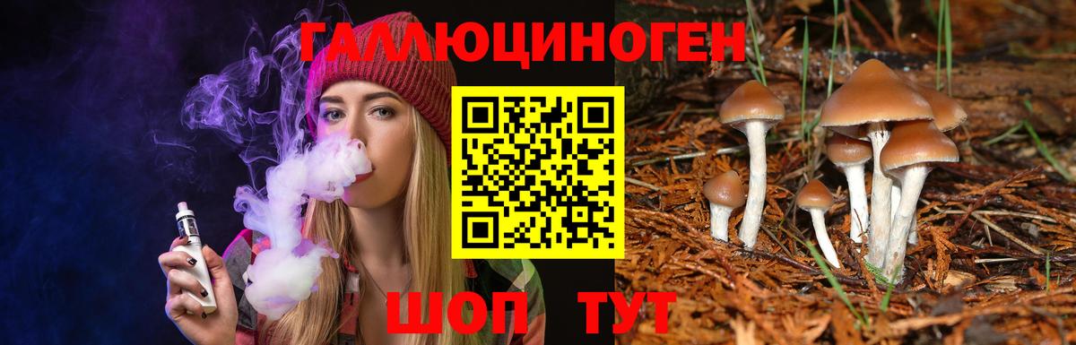 Псилоцибиновые грибы Cubensis  Вход с VPN  Людиново 