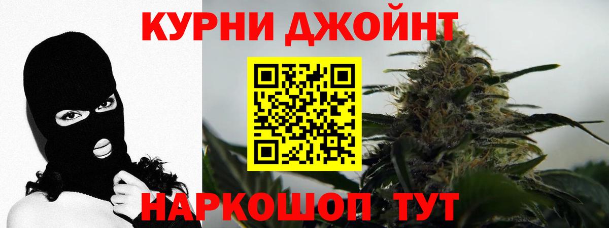 Каннабис планчик  Вход с VPN  Людиново  Канабис OG Kush  Каннабис семена 